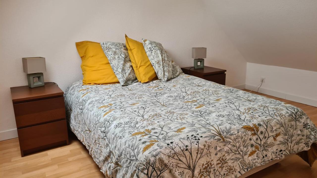 Duplex Au Centre Avec Parking - L'Etoile Daire Obernai Dış mekan fotoğraf
